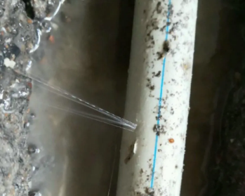 秦皇岛市卫生间测漏水多少钱